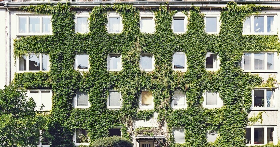 Die Wiener Bauordnung wird Ende 2023 novelliert. Gefordert werden neue Verfahren und mehr Flexibilität.