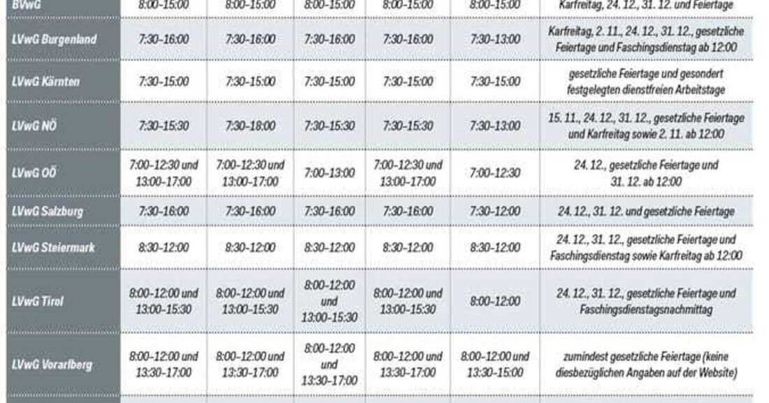 Fristen im Vergaberecht sind oftmals knapp bemessen. Umso wichtiger ist es, zur rechten Zeit alle notwendigen Eingaben zu machen.  
