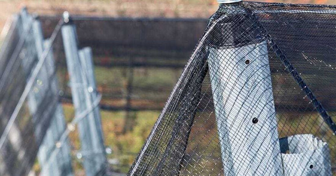 Eine Erfindung der voestalpine Krems soll weltweit Obstbäume vor Hagel schützen.