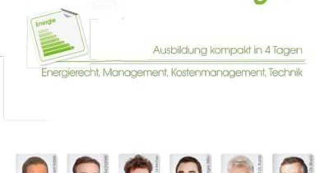 Um in Österreich 20% des Primärenergieverbrauchs bis 2020 einzusparen, wurden zahlreiche Maßnahmen zur Erreichung dieses Zieles eingeführt. Die Umsetzung stellt sich für Unternehmen allerdings als anspruchsvoll heraus.