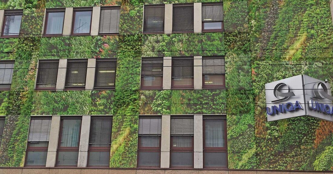 Bis zu 40.000 Euro werden ab sofort Förderwerbern als Zuschuss zur Errichtung einer neuen Fassadenbegrünung auf Gebäuden in Graz gewährt.