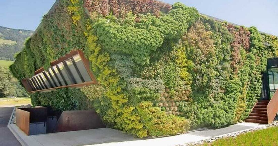 Vera Enzi, Dozentin an der Universität, und Martin Haas, Dach- Und Fassadenbegrüner, haben eine gemeinsame ­Mission: sie wollen der Welt die vielen Vorteile einer Dachbegrünung näherbringen. Ein Interview über lebensbedrohliche städtische Mikroklimas und den eingeleiteten Prozess der Bewusstseinsbildung.