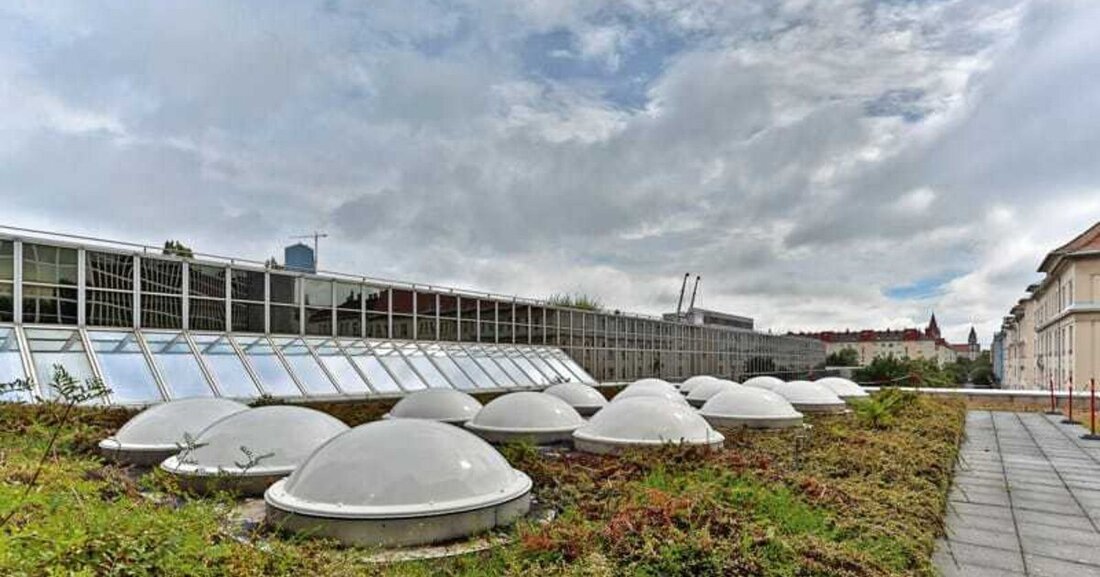 Für die Belichtung und Belüftung von großflächigen Innenräumen ist eine Versorgung mit ausreichend Licht und Luft oft nur über das Dach möglich. Lichtkuppeln und Lichtbänder bieten dabei eine Vielzahl von Möglichkeiten, bau- und arbeitsrechtliche Notwendigkeiten mit einem sicherheitstechnischen Zusatznutzen sowie einem Komfortgewinn zu verbinden.