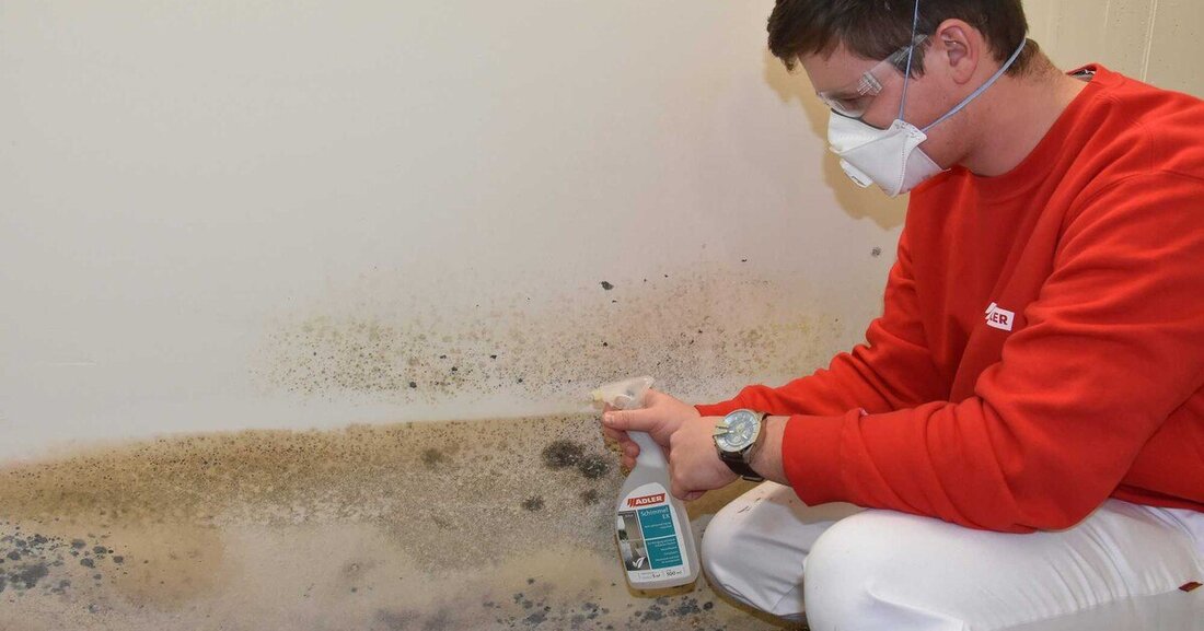 Der neue Adler Spray Aviva SchimmelEx Chlorfrei auf Basis einer wässrigen Sanierlösung bekämpft Schimmel geruchsfrei und nachhaltig.