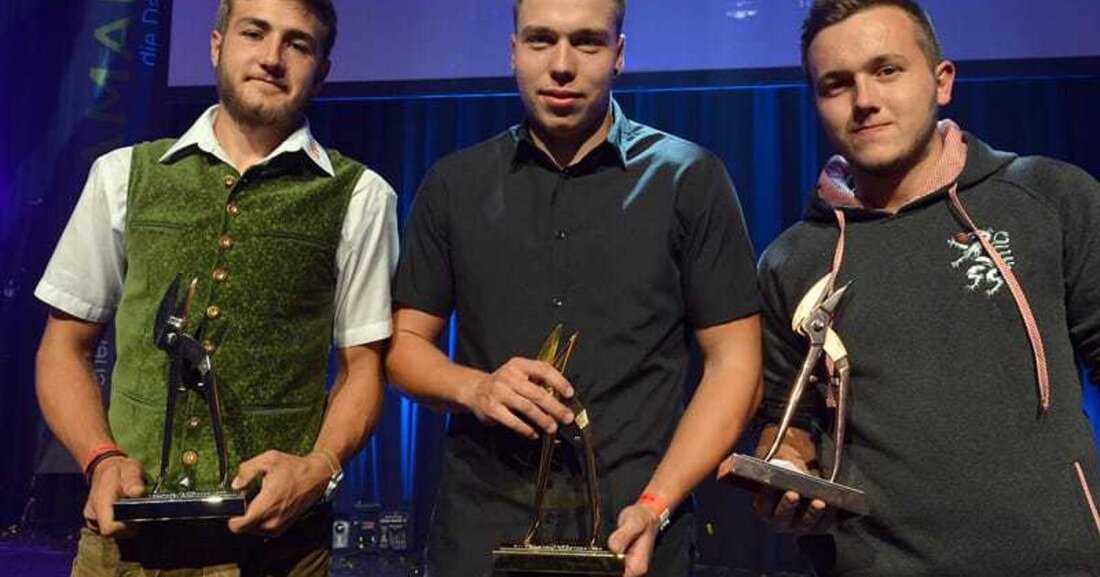 Anfang Oktober fand in Bregenz das finale Kräftemessen der Dachdecker- und Spengler-Lehrlinge im Rahmen der Bundeslehrlingswettbewerbe 2017 statt.