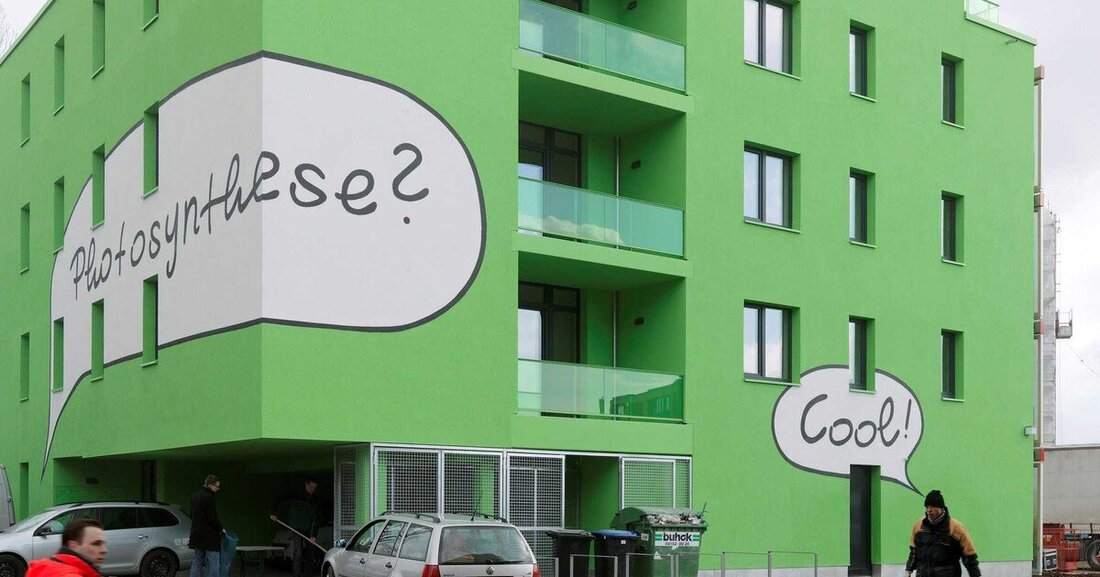 Der AIT-ArchitekturSalon zeigt ab dem 29.05.2013 in der Werkschau unter dem Titel SPLITTERWERK: "Hot, green and sexy!" neben dem „Clever Treefrog“ auch die „Green Buildings“, „Wohnstück Übelbach“, „Roter Laubfrosch“, „Frog Queen“ und das gesamte Spektrum der intelligenten Gebäude, die von SPLITTERWERK bereits lange vor dem „Nachhaltigkeitsboom“ entworfen, geplant und realisiert worden sind. Hauptaugenmerk liegt auf dem Algenhaus BIQ „The Clever Treefrog“.