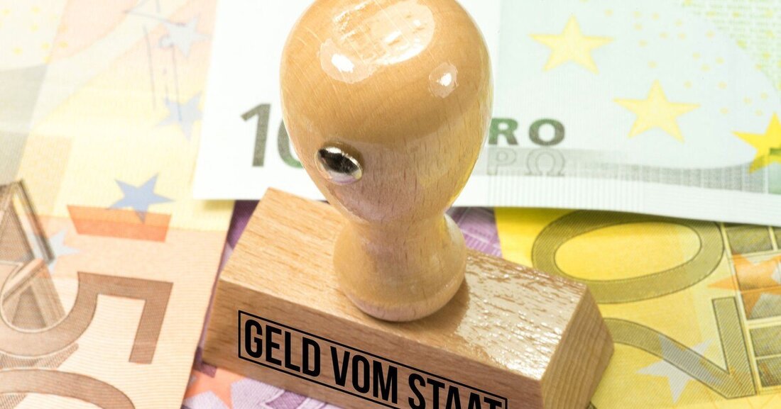 Das zur Verfügung stehende Budget fließt in Förderprogramme, Initiativen, sowie Leuchtturm- und Demoprojekte.