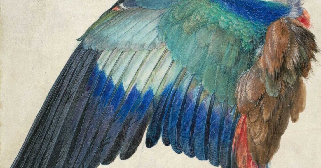 Vor drei Jahren war Dürers berühmter „Feldhase“ das letzte Mal in der Wiener Albertina zu sehen, dieses Aquarell höchster technischer und ästhetischer Fertigkeit, ein Meisterwerk. Vor mehr als fünf Jahrhunderten ausgeführt kehrt er nun zurück in die Öffentlichkeit als Gastgeber einer Sonderausstellung, die das Haus eben ihm, dem großen Albrecht Dürer widmet. von Franco Veremondi