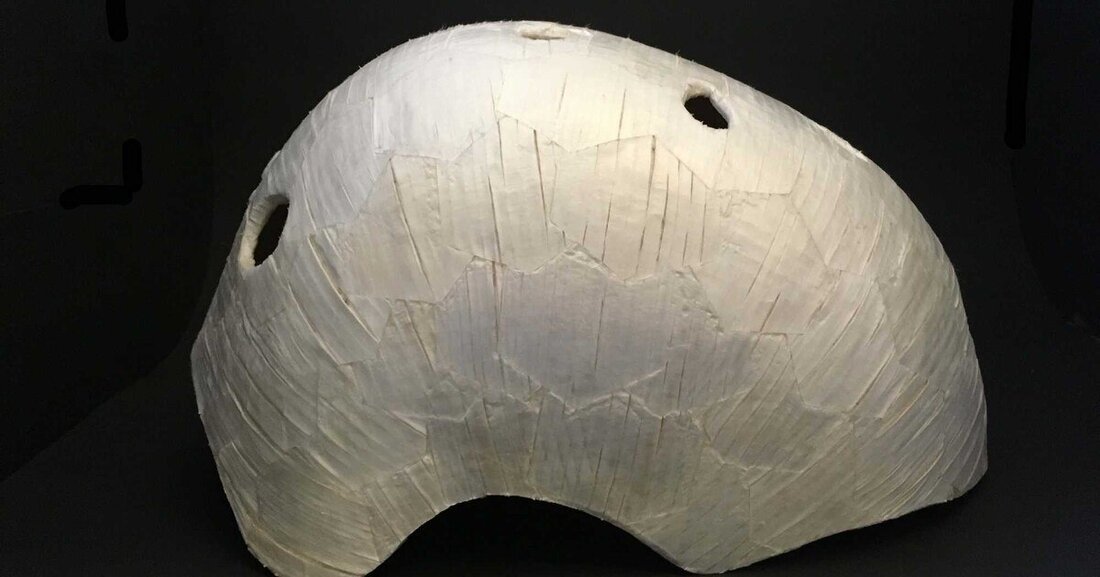 Schweizer Forscher haben ein Holzmaterial entwickelt, das sich beliebig verformen lässt und dreimal stärker ist als natürliches Holz.