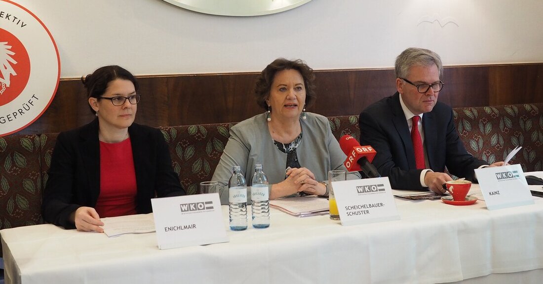 „Österreichs Handwerk und Gewerbe blickt nach den vorliegenden Zahlen auf ein erfolgreiches Jahr 2019 zurück.