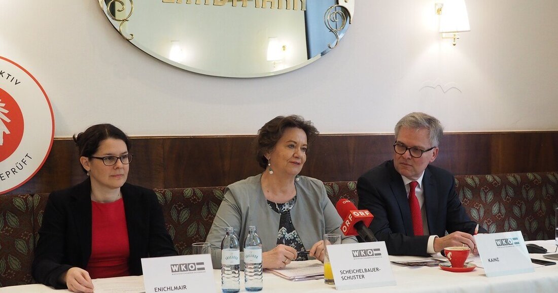 Spartenobfrau Scheichelbauer-Schuster erwartet sich von der Regierung wesentliche Impulse zur Stärkung der Betriebe. Die wirtschaftliche Bilanz für 2019 fällt positiv aus – auch die heimischen Tischlereien hatten einen guten Jahresabschluss.