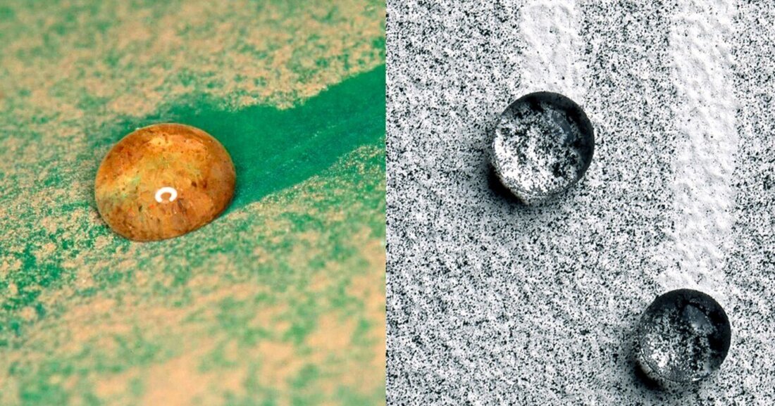 Vor 20 Jahren begann der Siegeszug bionischer Bauprodukte. Heute sind die von der Natur inspirierten Hochleistungs-Beschichtungen wie Lotusan oder StoColor Dryonic auf der ganzen Welt im Einsatz.