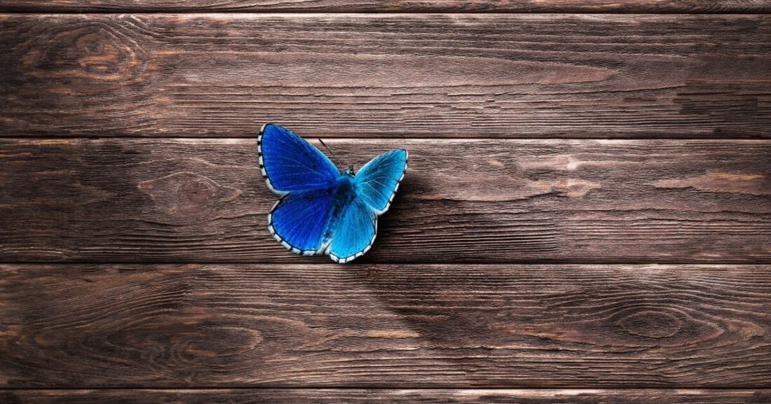 Das Umweltbundesamt hat im Auftrag des Umweltministeriums Holzschutz- und Pflegemittel, Lacke und Lasuren untersucht. Überprüft wurde die Übereinstimmung von angegebenen und enthaltenen Konzentrationen an bioziden Wirkstoffen.