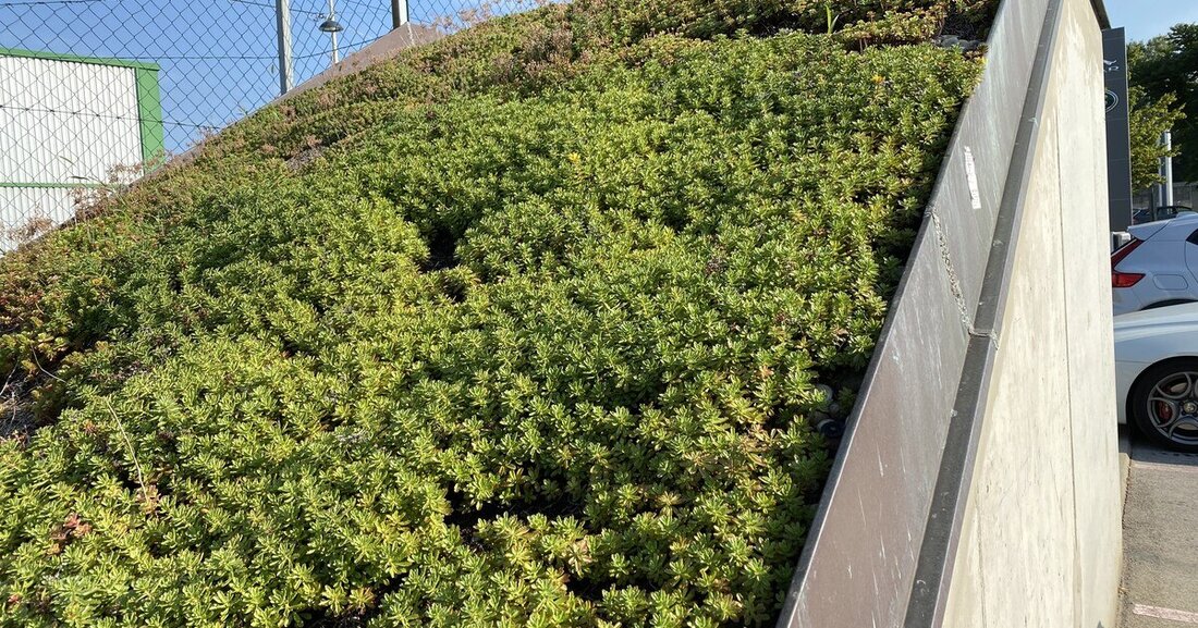 Diesmal im Fokus: Retentionsvarianten und entsprechendes Risikopotenzial für das Bauwerk.