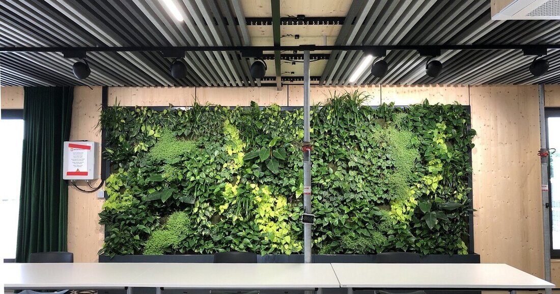 Der neue Trend in der Innenraumgestaltung: vertikale Innenraumbegrünung.