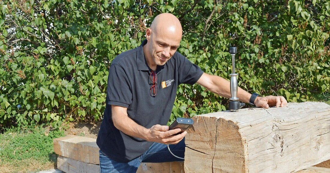 Mit dem Forschungsprojekt TimberLoop verfolgt die Holzforschung Austria das Ziel, Holz in die Kreislaufführung zu integrieren