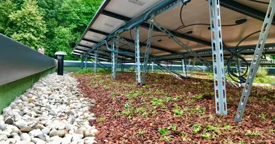 Brandschutzsicherheit bei Solargründächern