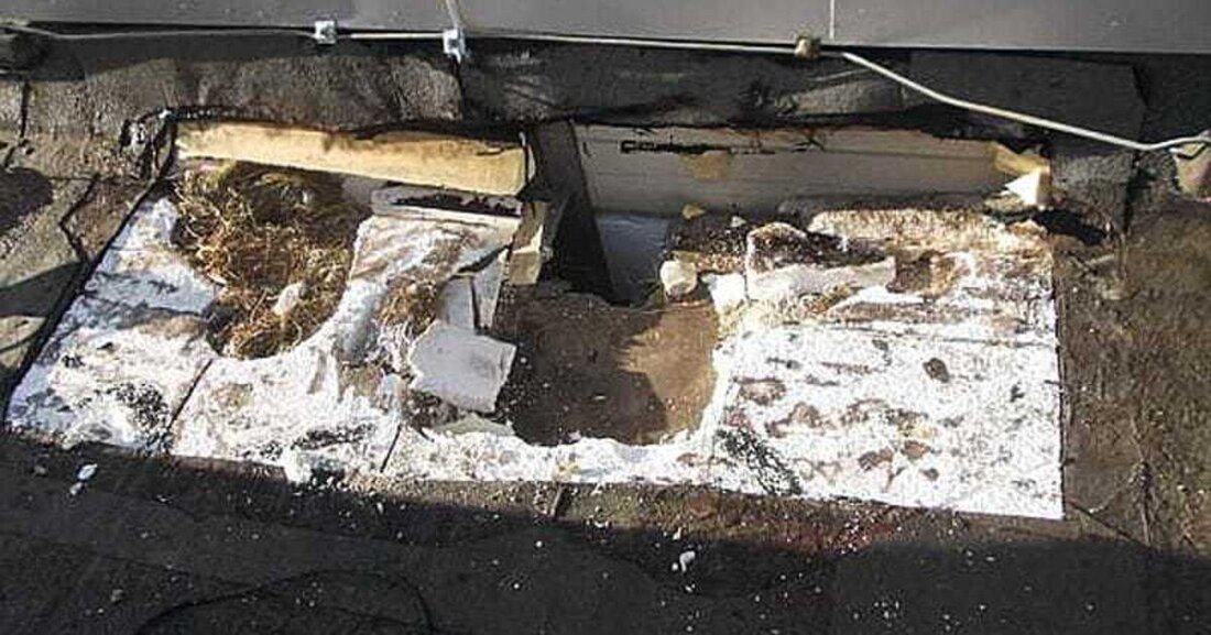 Das Bild zeigt tatsächlich die Wohnung eines Marders in der Wärmedämmung eines Flachdachs. Kaum zu glauben, welcher Baufehler für die Entstehung dieser Wohnung in der Flachdachkonstruktion über der Decke des ersten Obergeschoßes verantwortlich war.