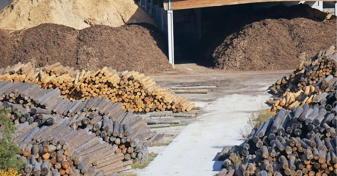 Der Biomasse-Verband, Propellets Austria und der Waldverband legen ein Programm zum Ausstieg aus Erdgasimporten vor.