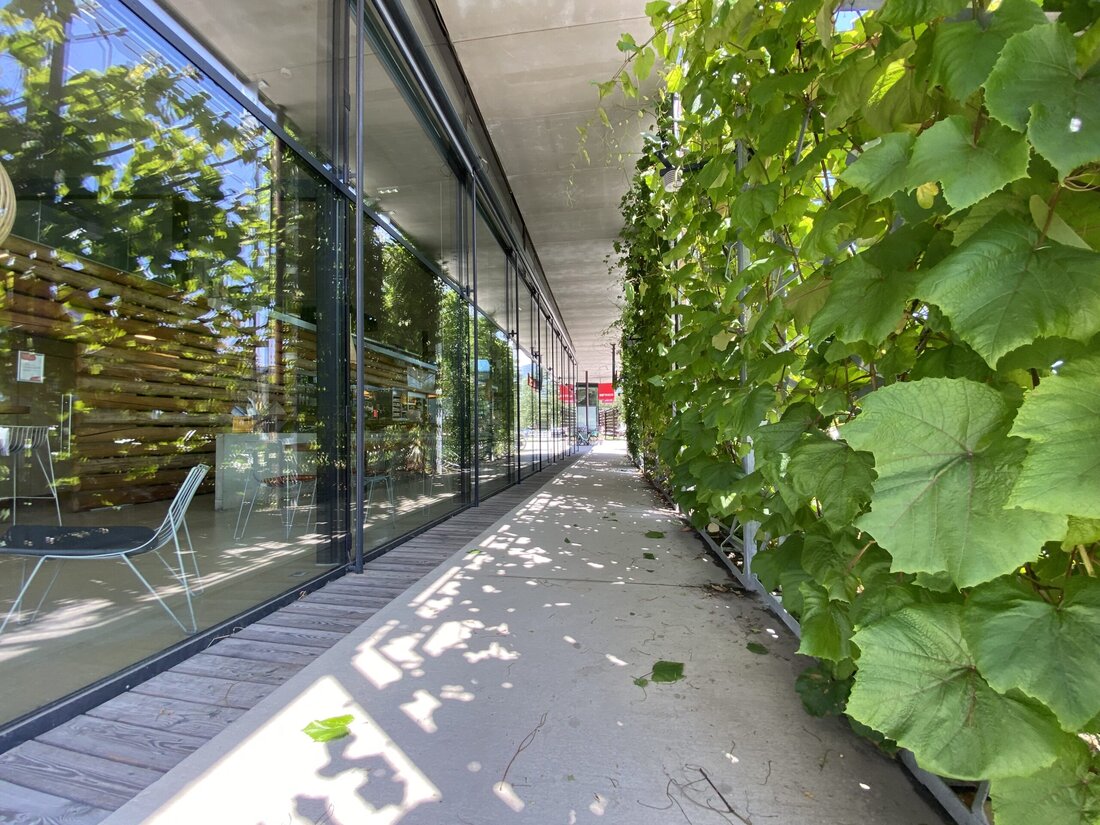 Aktuelle Forschungsprojekte befassen sich mit der Messbarmachung der Wirkungen von Begrünungen auf die Außen- und Innenräume.