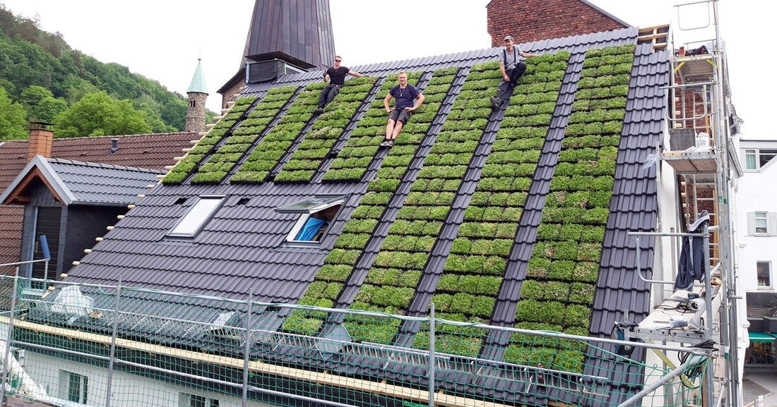 In der Start-up Area stellt die Dach+Holz International vom 5. bis 8. Juli 2022 Newcomer und ihre Neuheiten vor.