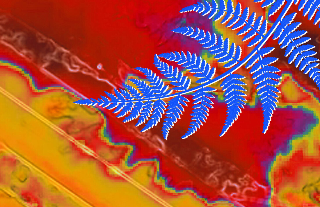 Der Klimawandel verändert auch unsere Städte. Die Ausstellung „Das neue Kleid der Stadt“ des Landschaftsarchitekturbüros Planstatt Senner gibt einen Einblick in dieses Thema.