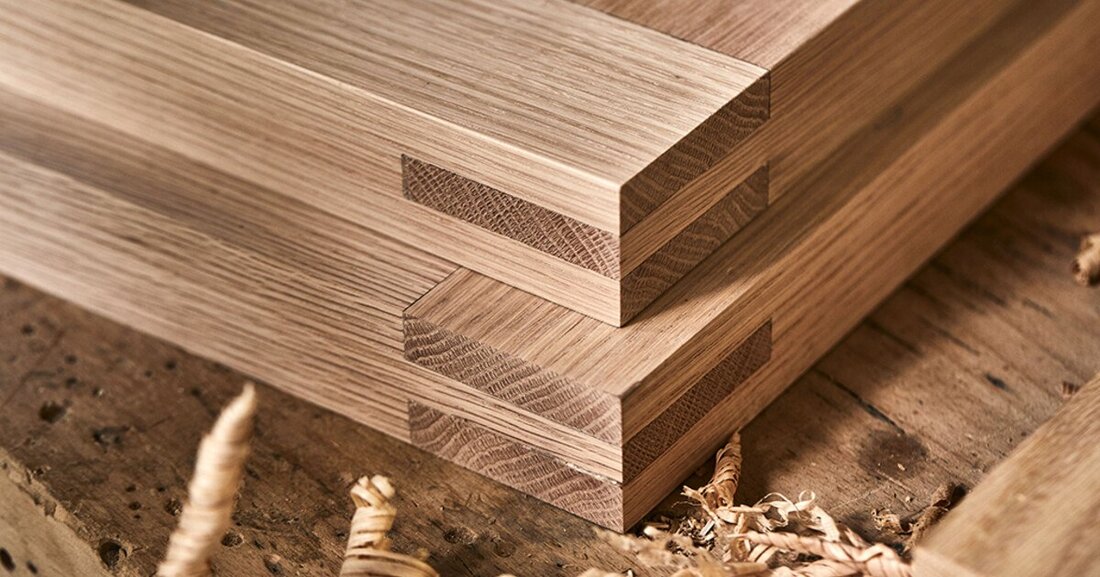 Der Titel „Baum des Jahres“ geht im Jahr 2025 an die Amerikanische Rot-Eiche.