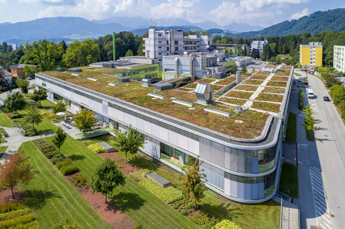 Gründächer sind ein wesentlicher Bestandteil der blau-grünen Infrastruktur. Innovative Produkte und Systeme unterstützen Handwerker*innen bei der Umsetzung.
