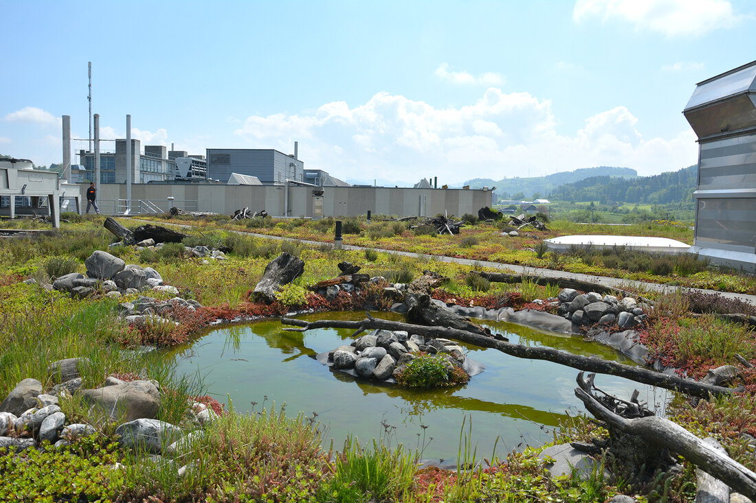 Seit zwei Jahrzehnten widmet sich das Institut für Flachdachbau und Bauwerksabdichtung, kurz IFB, der Forschung, Schulung und Qualitätssicherung im Bereich der Bauwerksabdichtung.