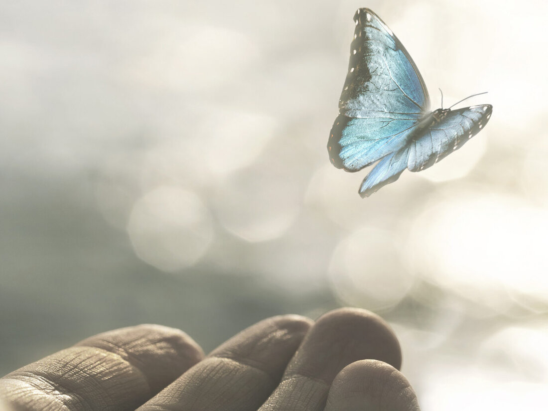 Produkte mit einem 0,0-Prozent-Anteil von Konservierungsmitteln gewinnen schon jetzt an Relevanz. Fabian Störkmann, Produktmanager Dispersionen bei Brillux, ist überzeugt, dass in Zukunft kein Malerbetrieb mehr daran vorbeikommen wird. 