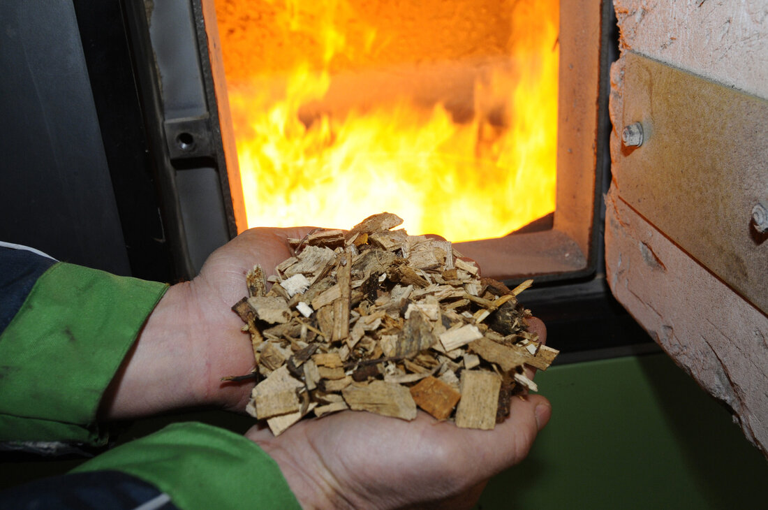 Die Industrie freut sich, dass die Regierung klimafreundliche Heizsysteme weiter fördert. Sie fordert aber rasches Handeln, um dem aktuellen Markteinbruch entgegenzuwirken.