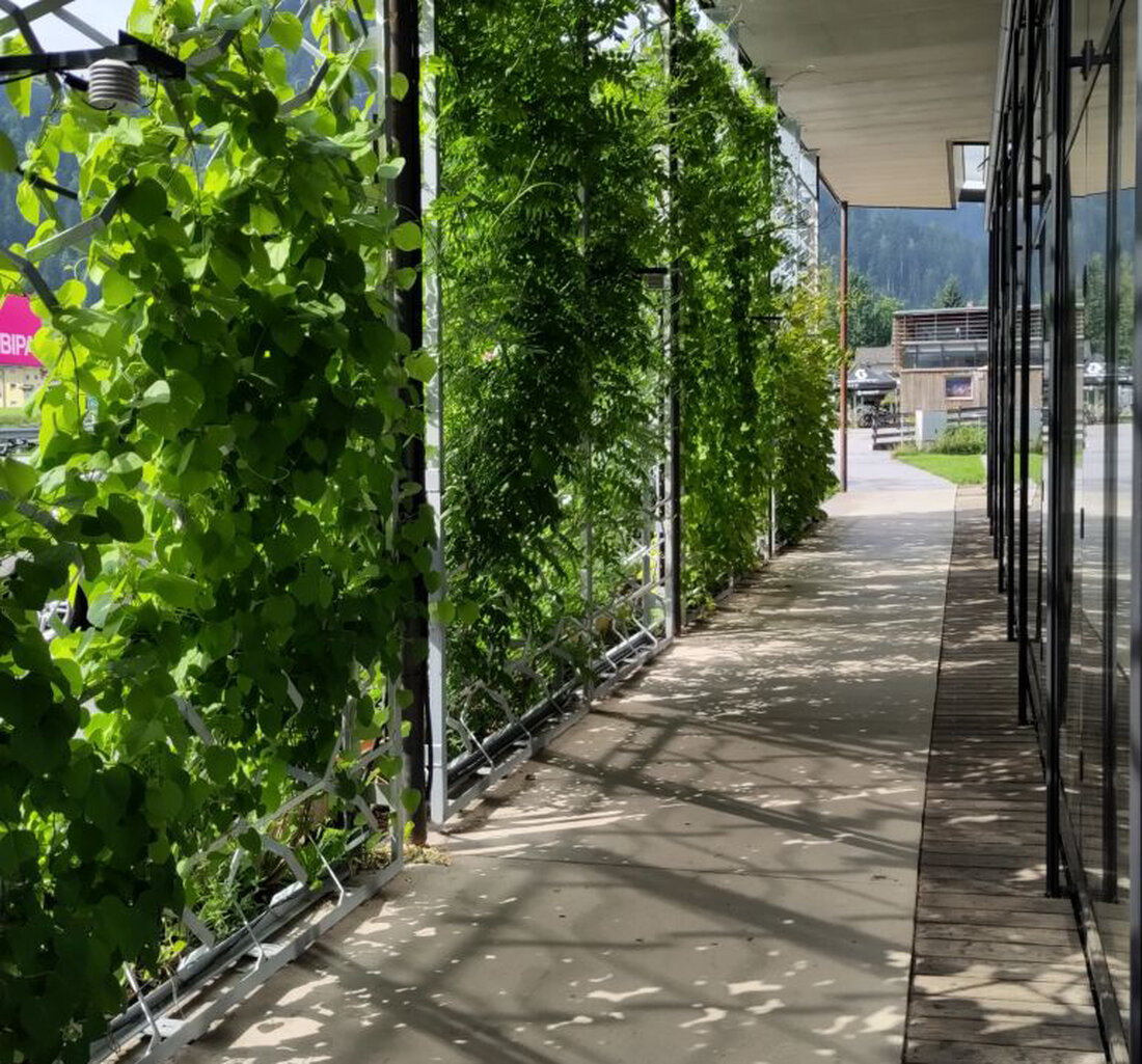 Aktuell wird intensiv an der Messbarkeit von Begrünungen gearbeitet. Rudolf Bintinger vom IBO berichtet im Interview von den neuesten Forschungen und ersten Ergebnissen.