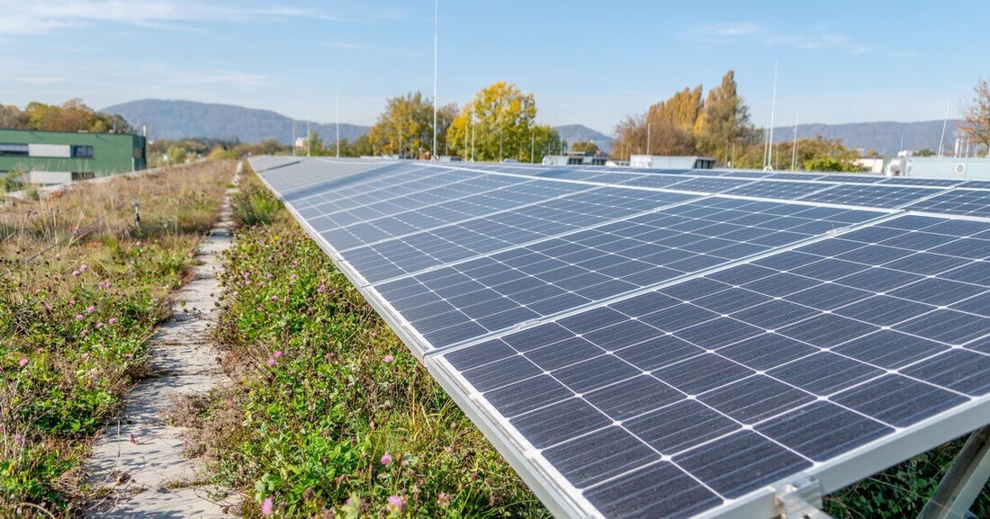 Ein Solargründach bietet neben der Energieerzeugung auch einen Schutz- und Kühleffekt und fördert die Biodiversität.