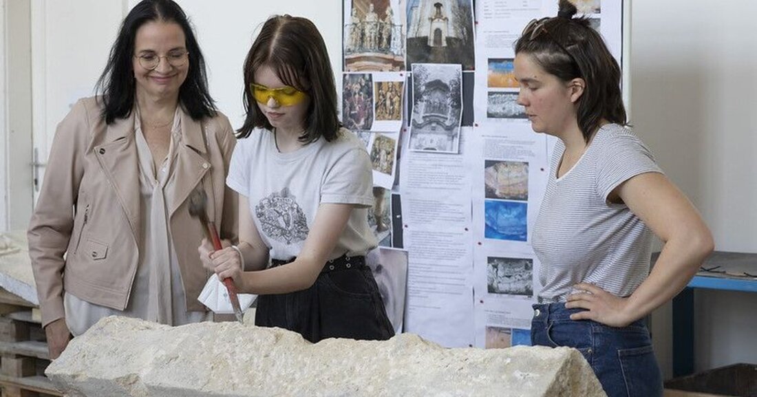 Am 21. Mai 2022 starten die Tage der offenen Kartause mit der aktuellen Sonderschau "ergraben und authentisch bewahrt".