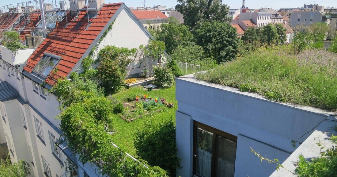 Bauwerksbegrünungen leisten wichtige Beiträge in der klimarelevanten Sanierung – und werden vielfältig gefördert.