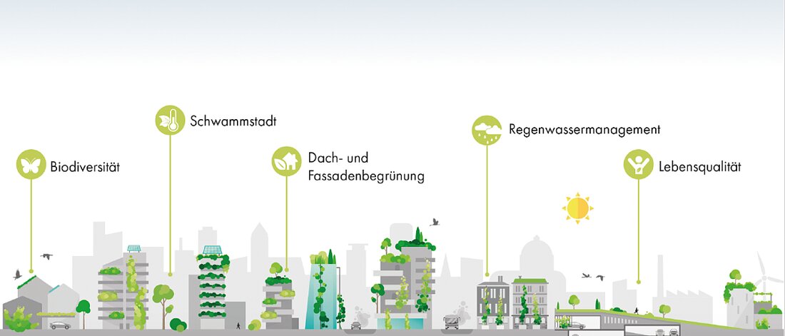 Gemeinsam mit Optigrün und ÖGLA lädt Aco zu einer Fachseminarreihe zum Thema Regenwassermanagement.
