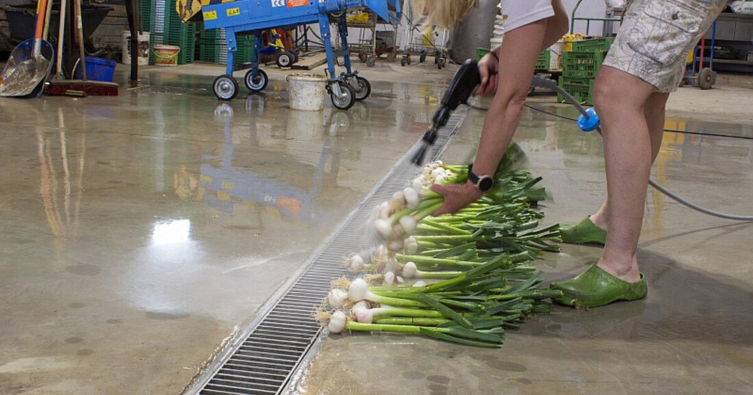 Bei der Sanierung seiner Verarbeitungshalle setzte eine Gemüsebauer in Oberösterreich auf Edelstahl - aus gutem Grund.