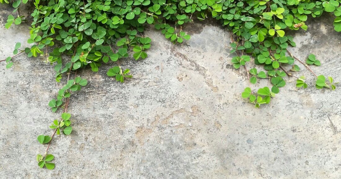 In Zukunft könnte Klimabeton einen wesentlichen Beitrag zum Umweltschutz leisten.