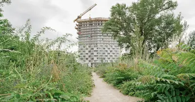 Mit richtigem Plan zur richtigen Zeit