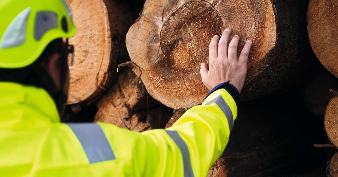 Die Egger Gruppe konnte zwei Auszeichnungen in Nachhaltigkeitsratings erzielen.