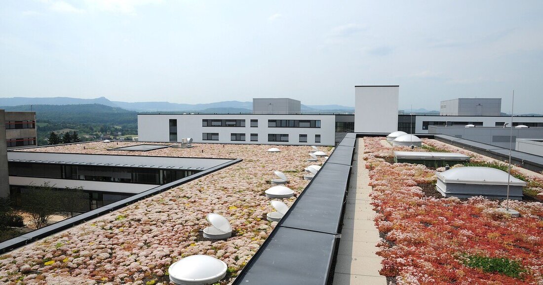 Die Notwendigkeit, Dächer als aktive Elemente zur Entlastung der städtischen Kanalisation zu konzipieren, wird immer dringlicher.