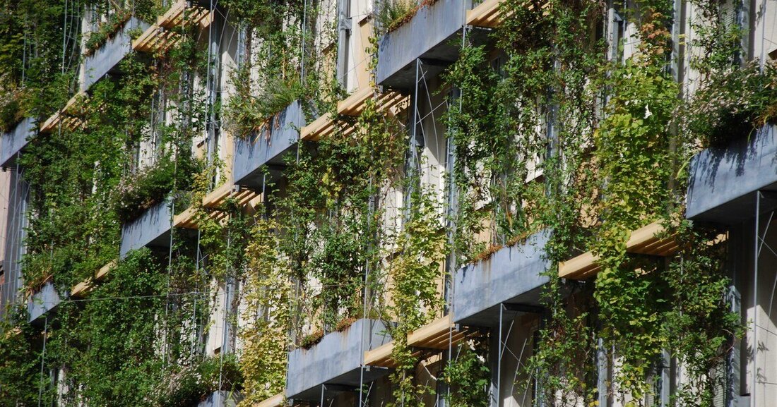 Fassadenbegrünung ist ein junger, aber wachsender Markt. Die Gründe dafür sind vielfältig.