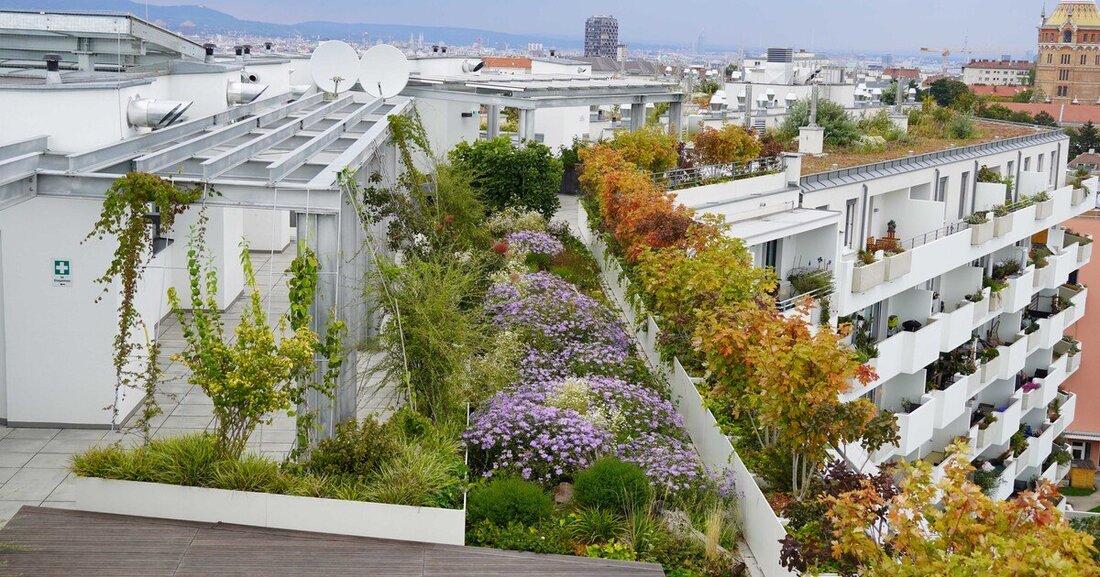 Der neue Green Market Report bietet einen aktuellen Marktbericht über die österreichische Bauwerksbegrünungsbranche.