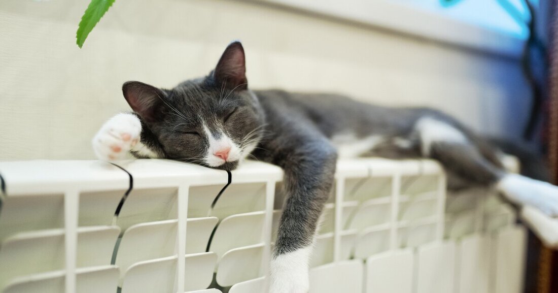 Vom Wachstumstrend bei Heizungen können Radiatoren nicht profitieren. Sie werden von Fußbodenheizungen verdrängt.