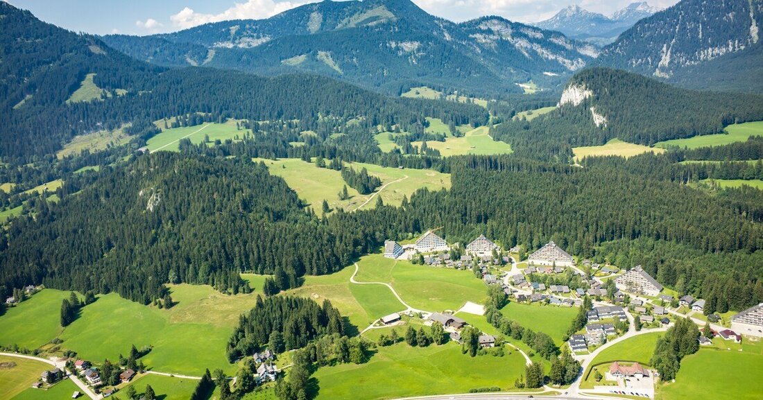 Der Brand am Schneeberg hat mehr als 100 Hektar Wald vernichtet - aber wie viel Wald gibt es eigentlich in Österreich?