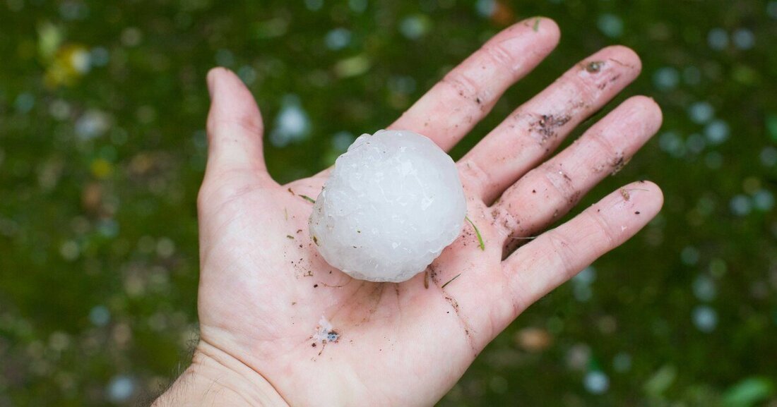 Die Widerstandsfähigkeit von Gründächern und der darunterliegenden Dachabdichtungen gegen Hagel ist nun geprüft.