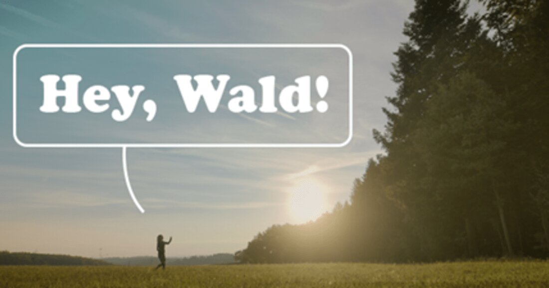 Hey, Wald! Die neue proHolz-Kampagne klärt über die positiven Effekte der Waldnutzung auf.