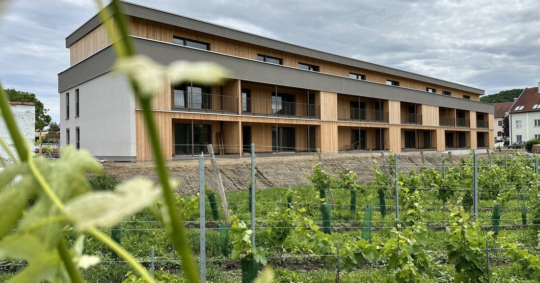 Pointinger Bau verspricht eine Reduktion der CO2-Emissionen über die gesamte Lebensdauer seiner Häuser um 50 Prozent.