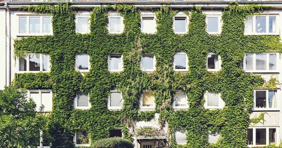 Klimafit mit der Wiener Bauordnungsnovelle