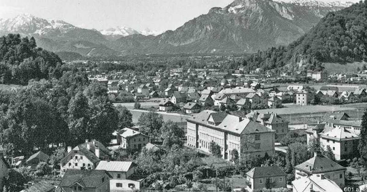 Ratschlag statt Kahlschlag